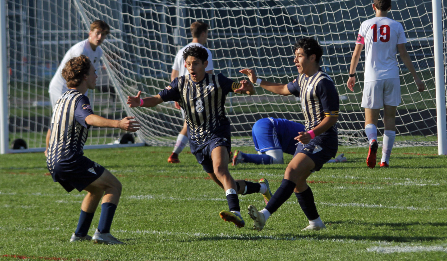 Baraboo goal